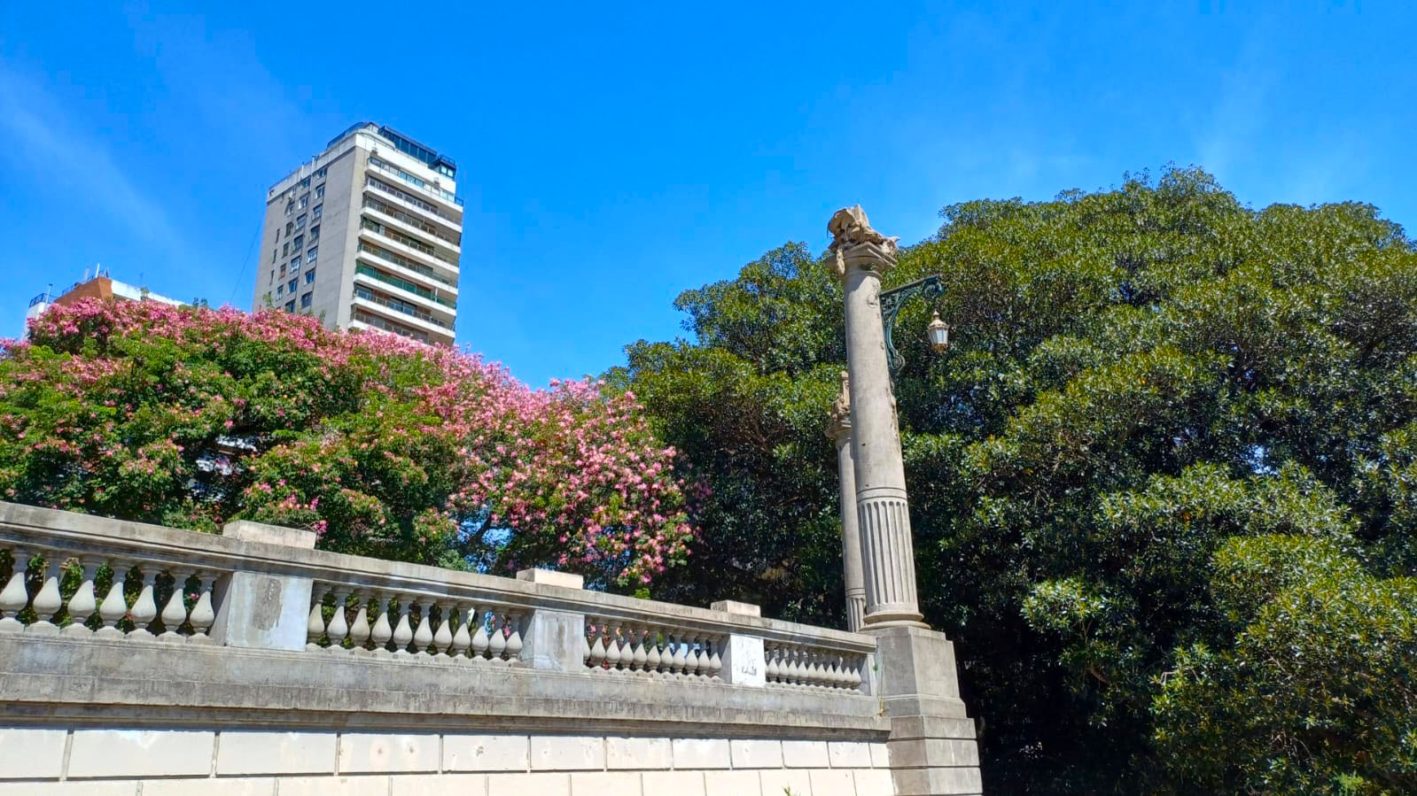 Imagen de galería 1