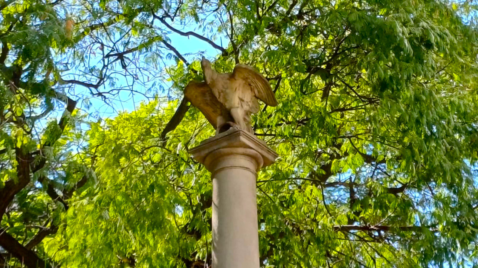 Imagen de galería 1