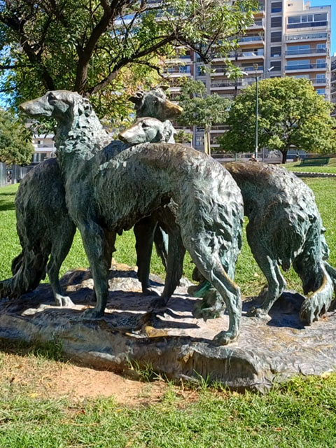 Los Galgos Rusos