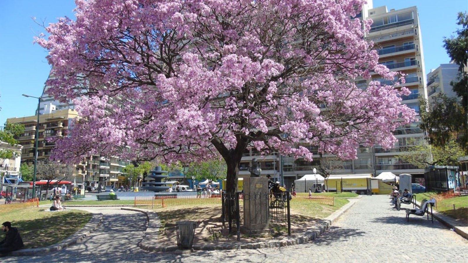 Imagen de galería 1