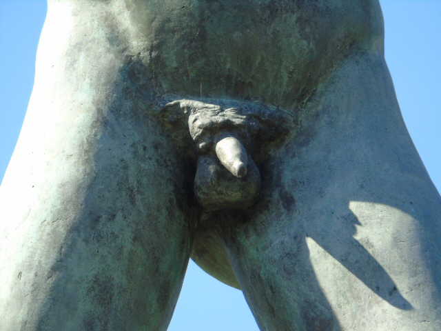 Imagen de galería 1