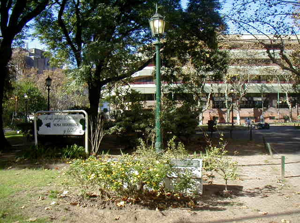 Homenaje a Ana Díaz