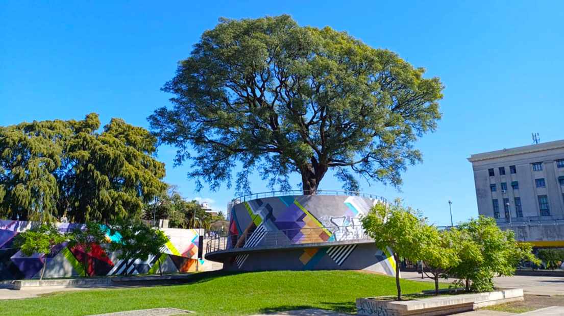 Imagen de galería 1