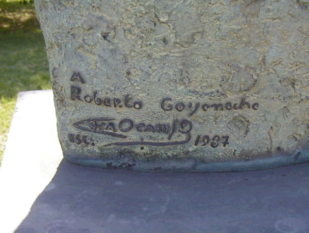 R. Goyeneche