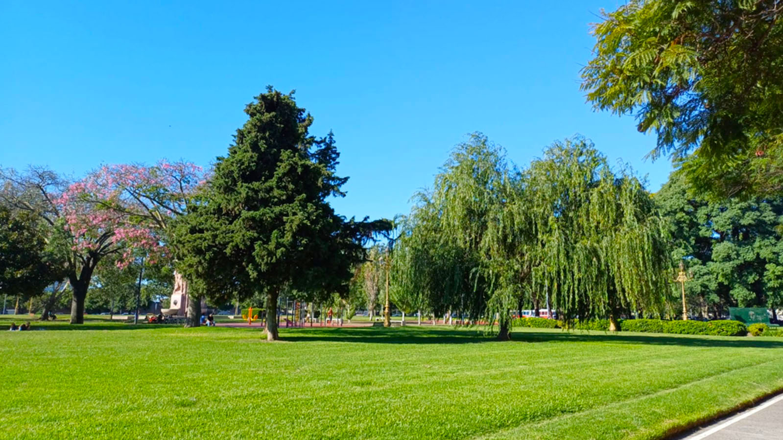 Imagen de galería 1