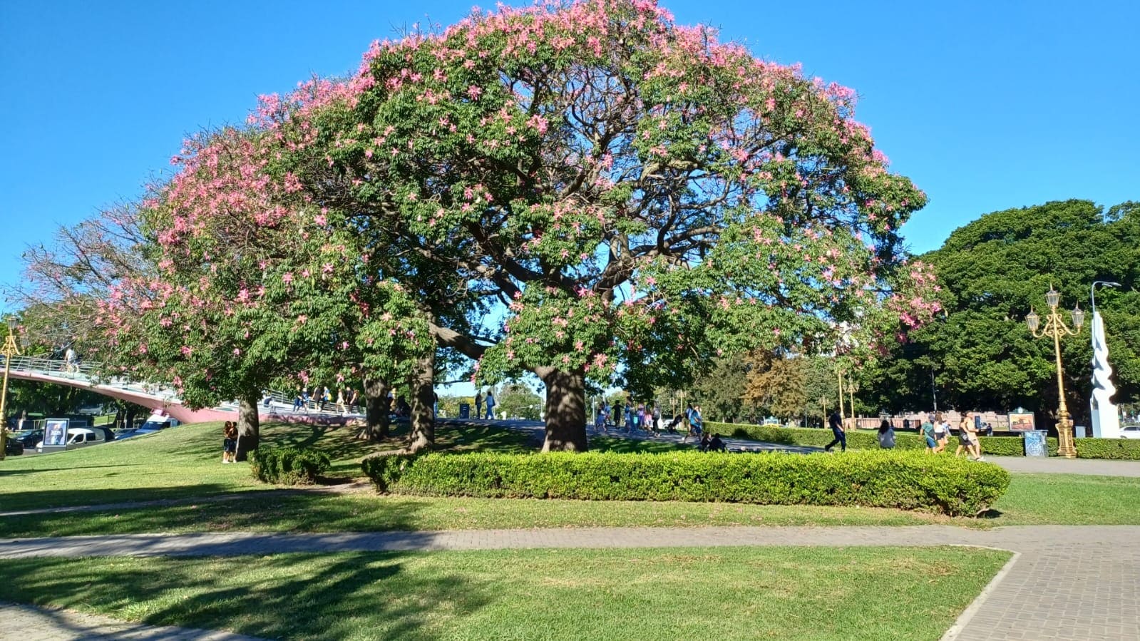 Imagen de galería 1