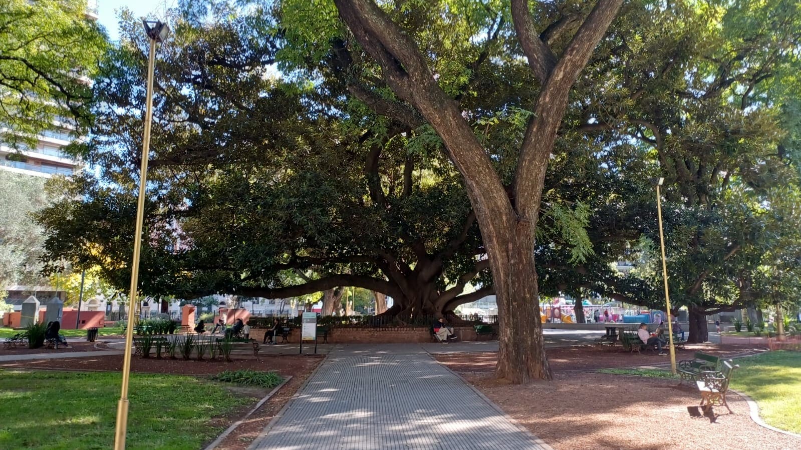 Imagen de galería 1