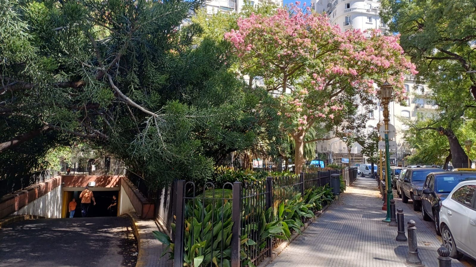 Imagen de galería 1