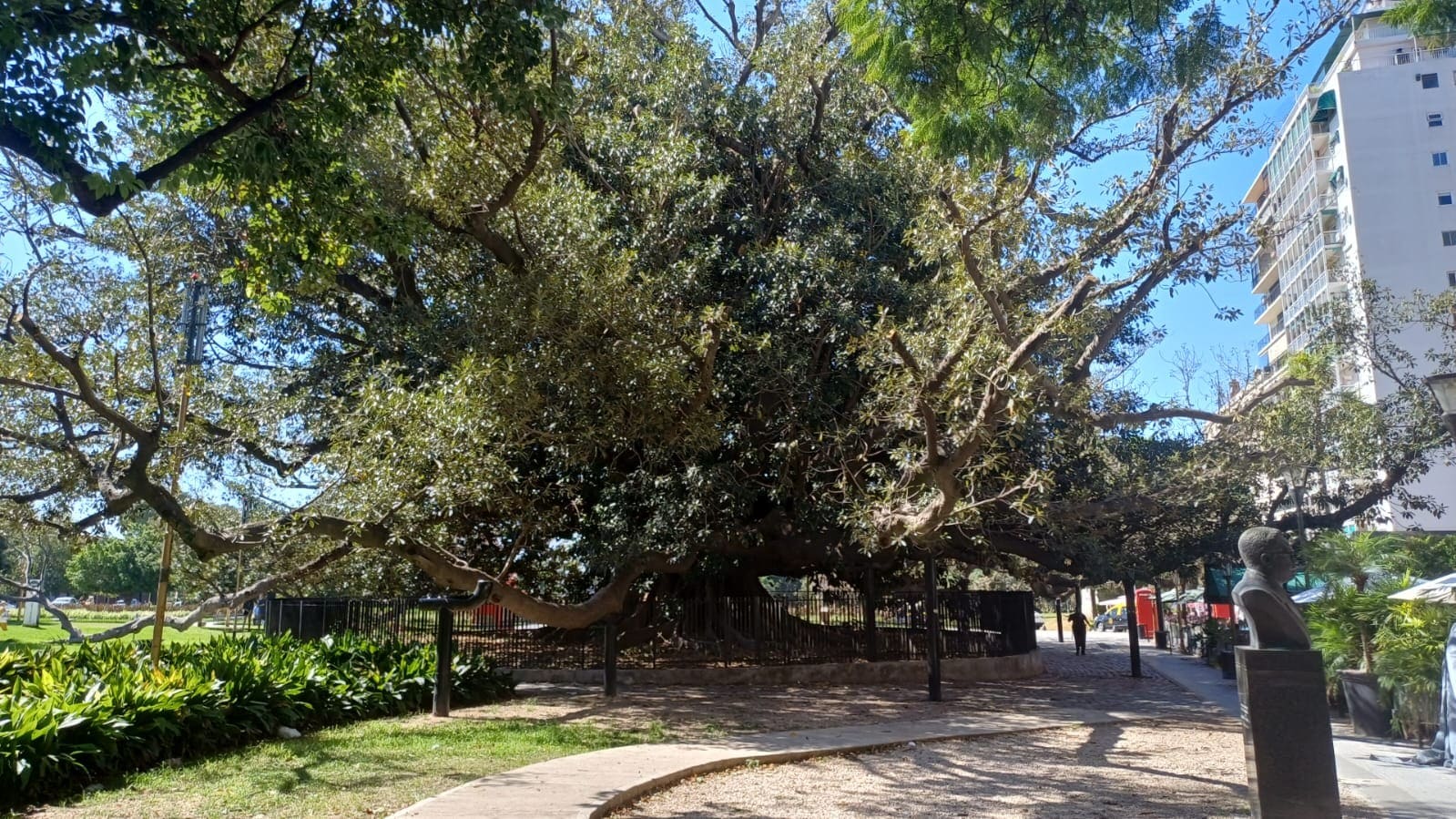 Imagen de galería 1