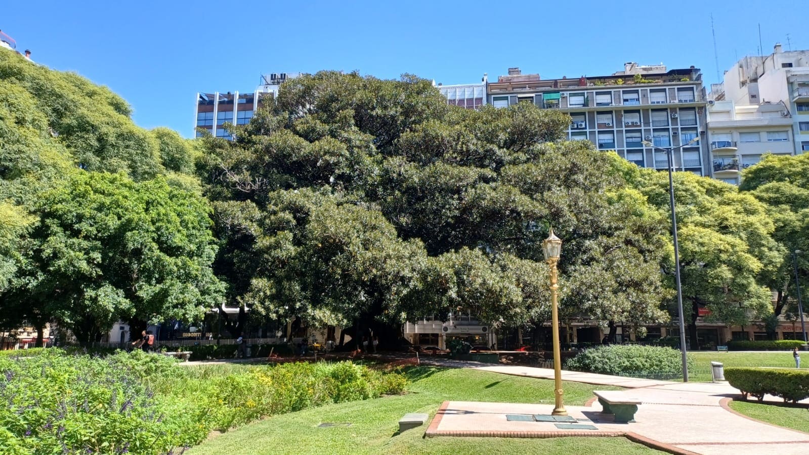 Imagen de galería 1