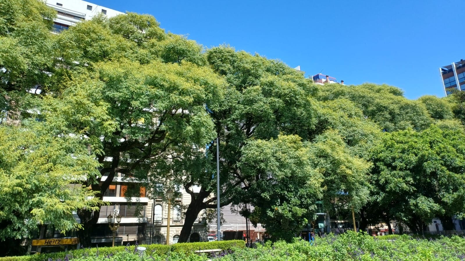 Imagen de galería 1