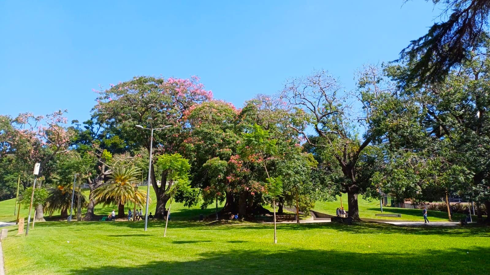 Imagen de galería 1