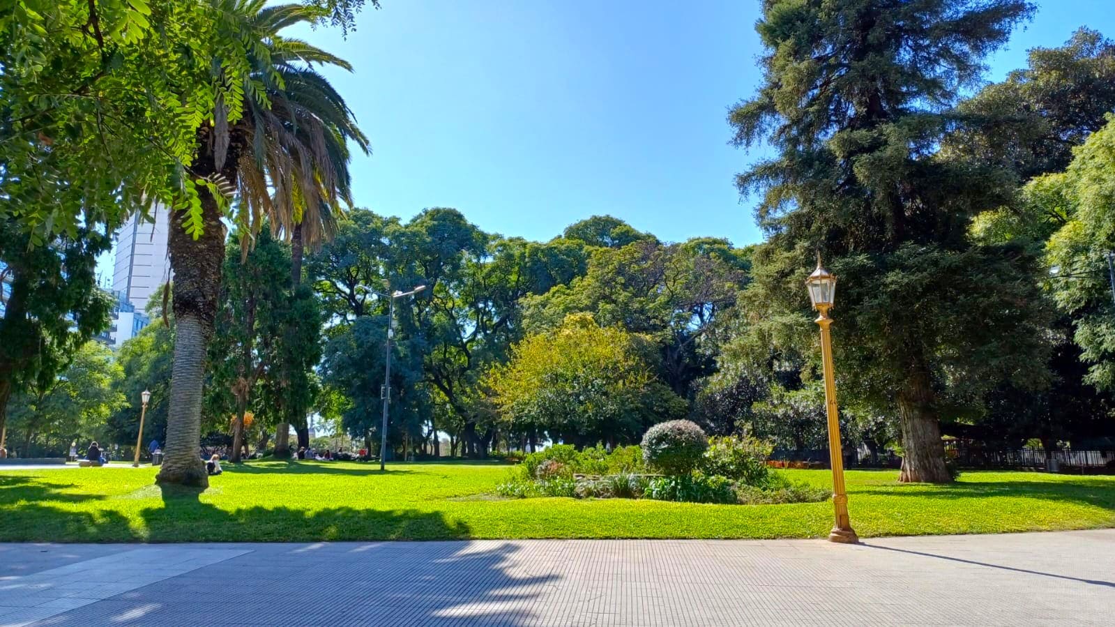 Imagen de galería 1