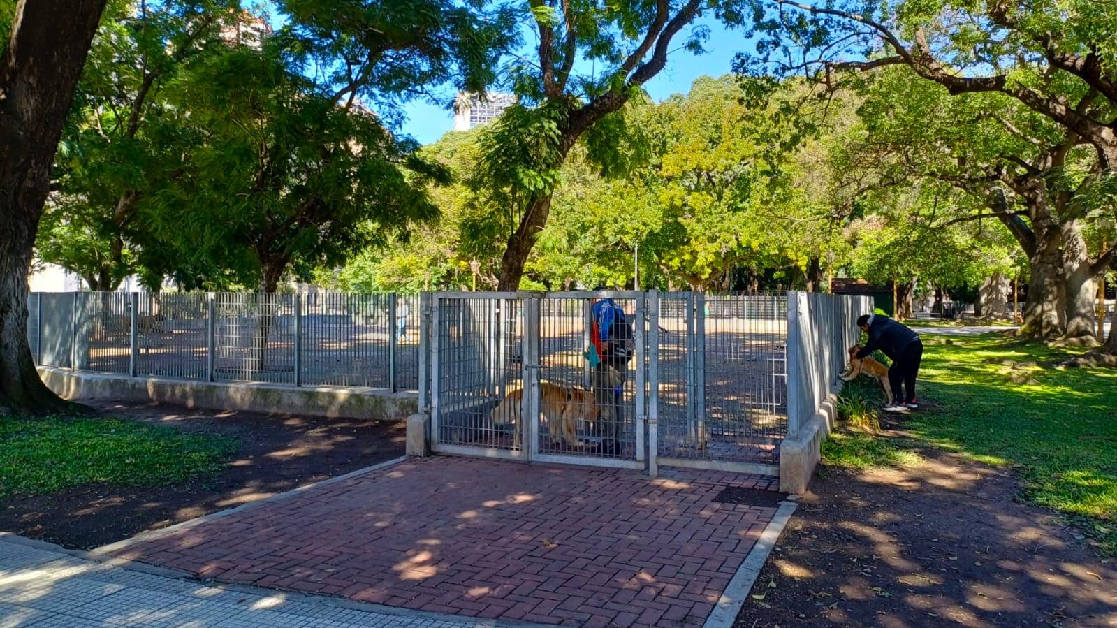 Imagen de galería 1