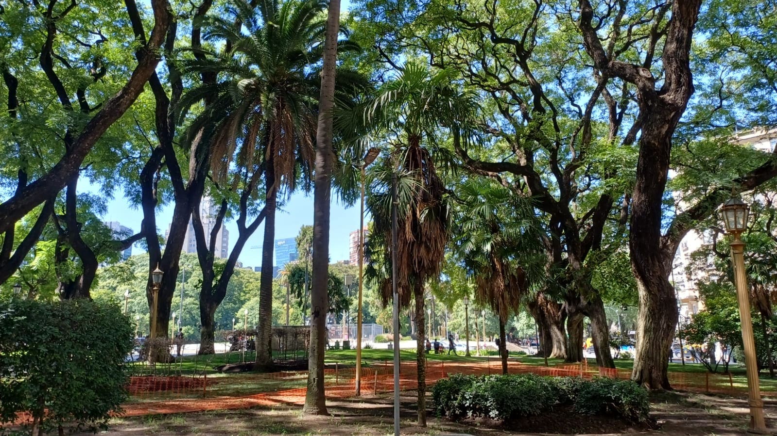 Imagen de galería 1