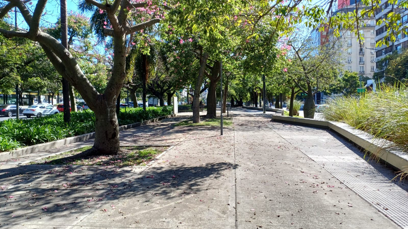 Cantero Central Provincia de Tucumán