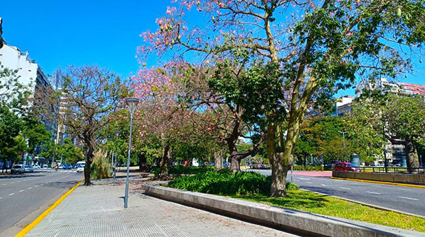 Cantero Central Provincia de Tierra del Fuego