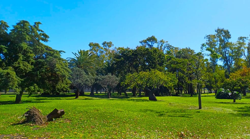 Pioneros de la A. Argentina
