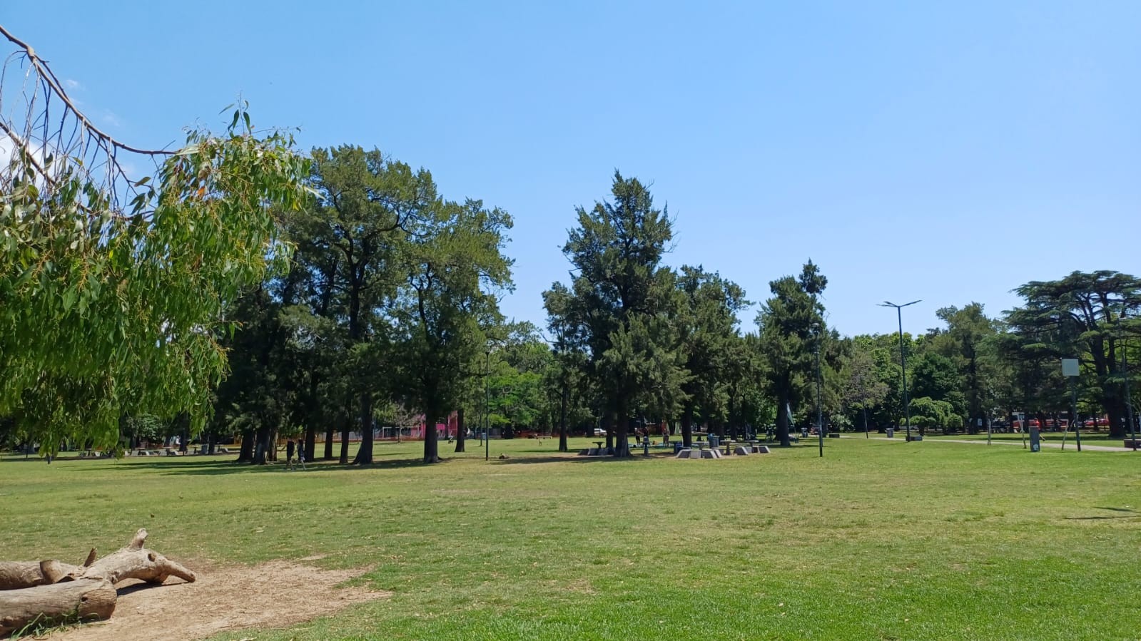 Parque Saavedra