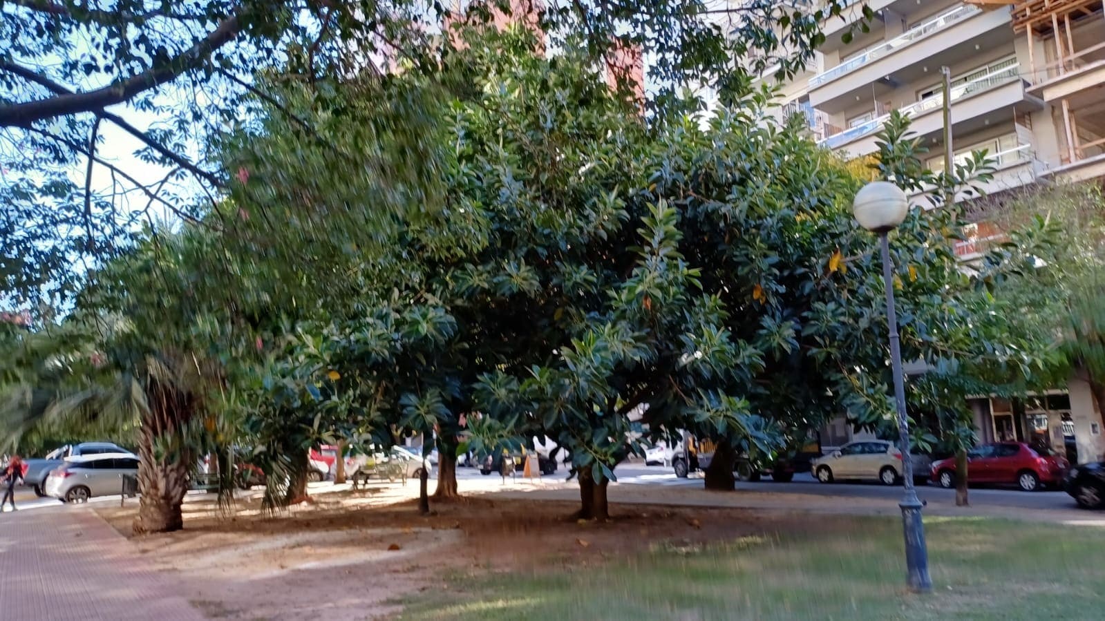 Cantero Central Darwin Passaponti