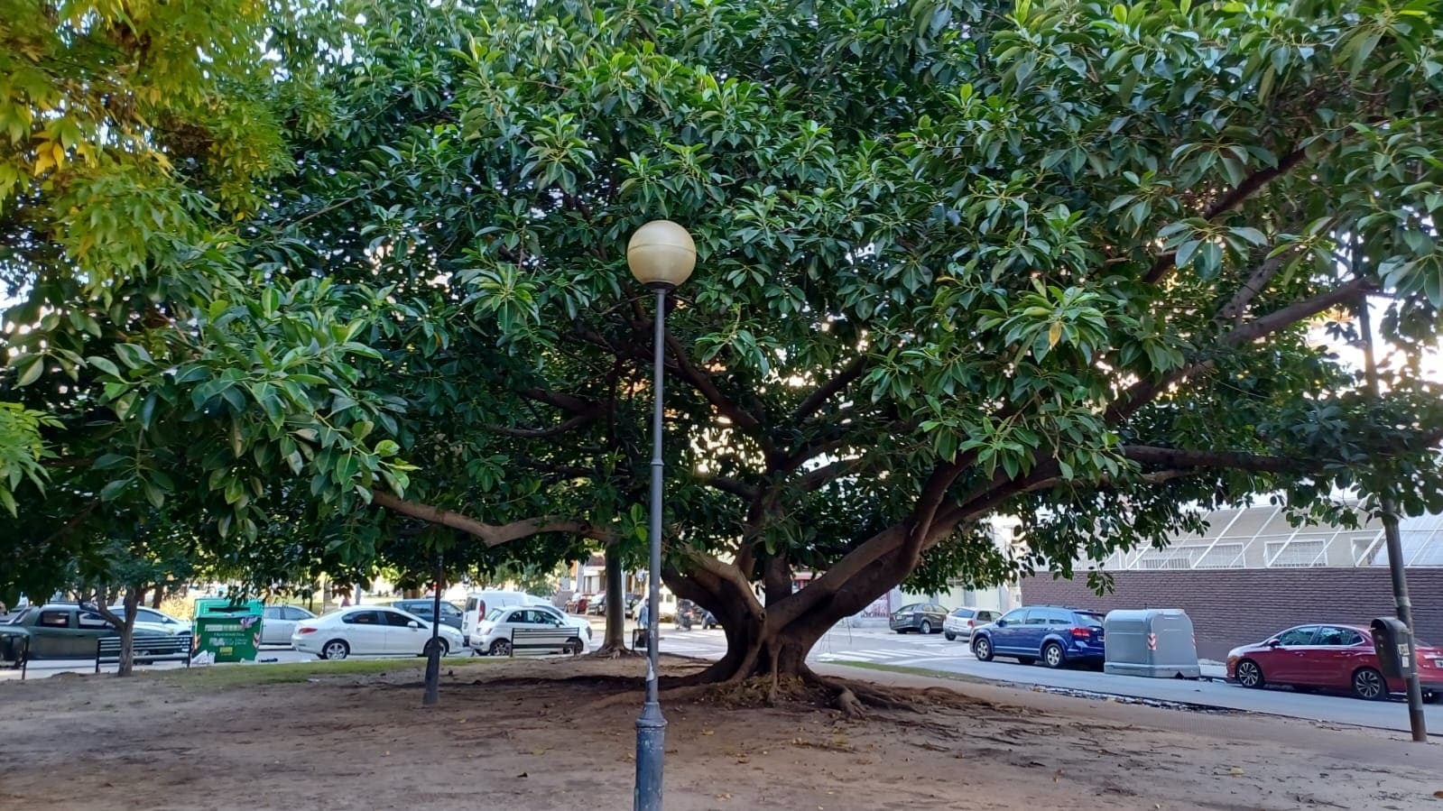 Cantero Central Darwin Passaponti