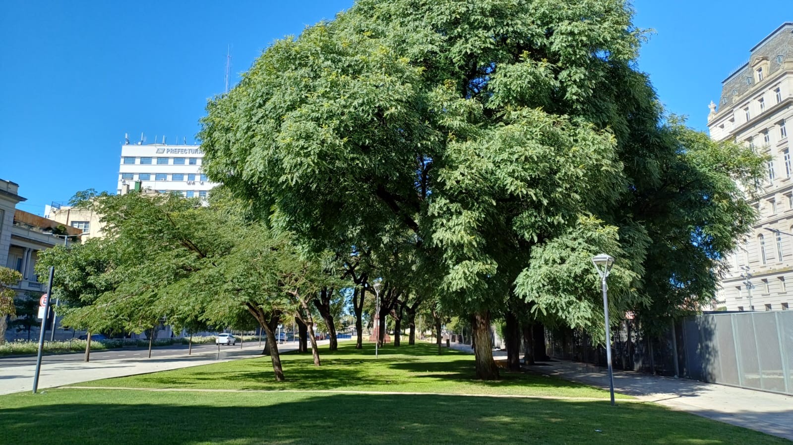 Plazoleta Dr. Carlos Alberto Erro