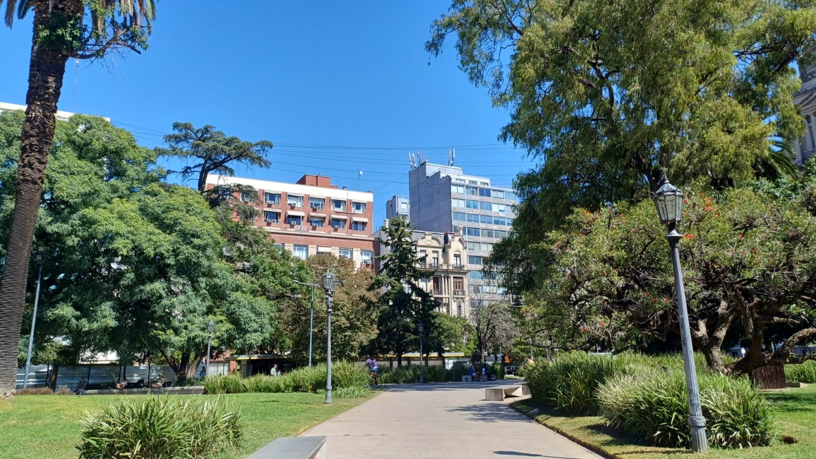 Imagen de galería 1