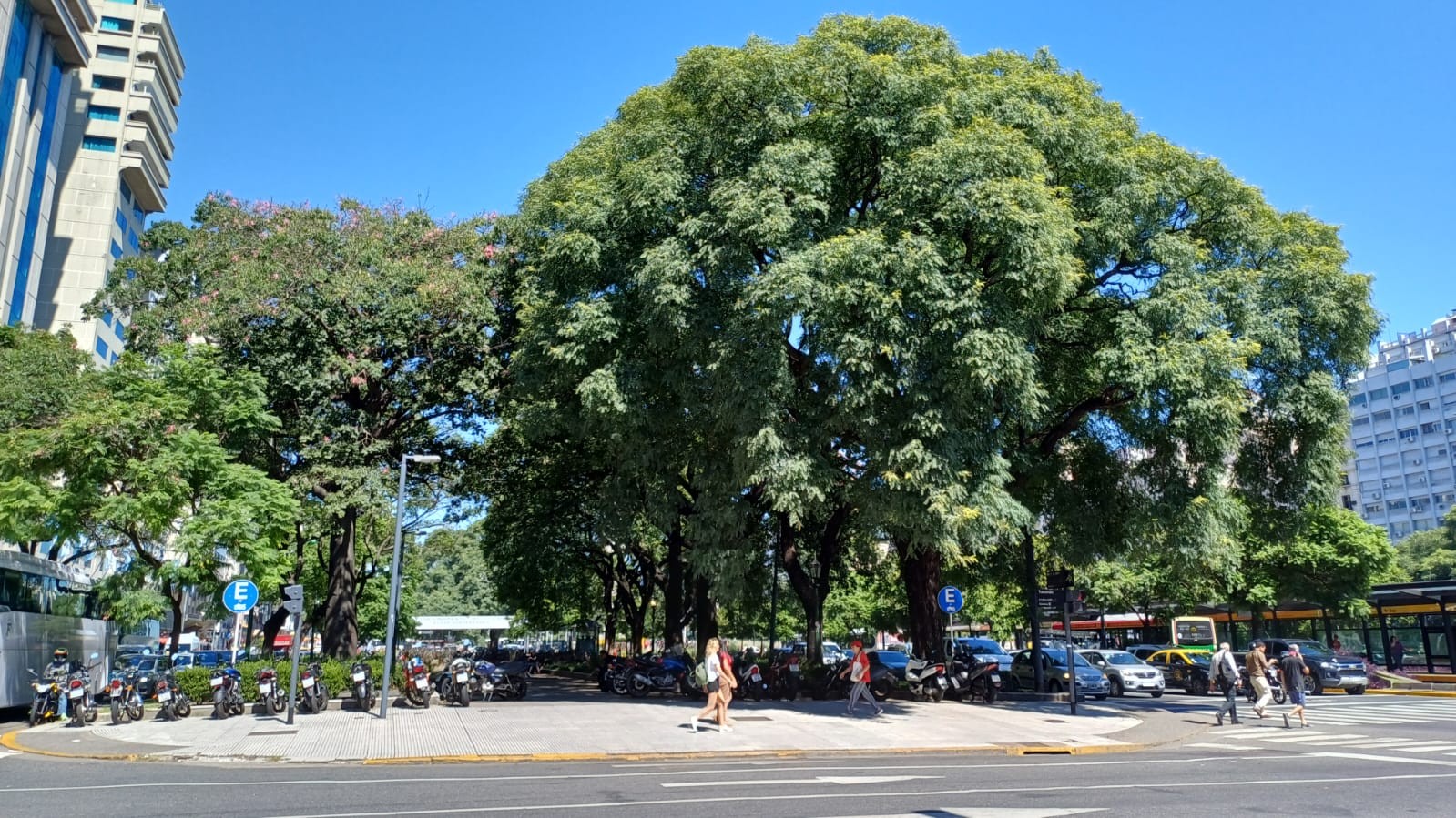 Cantero Central Provincia de San Juan