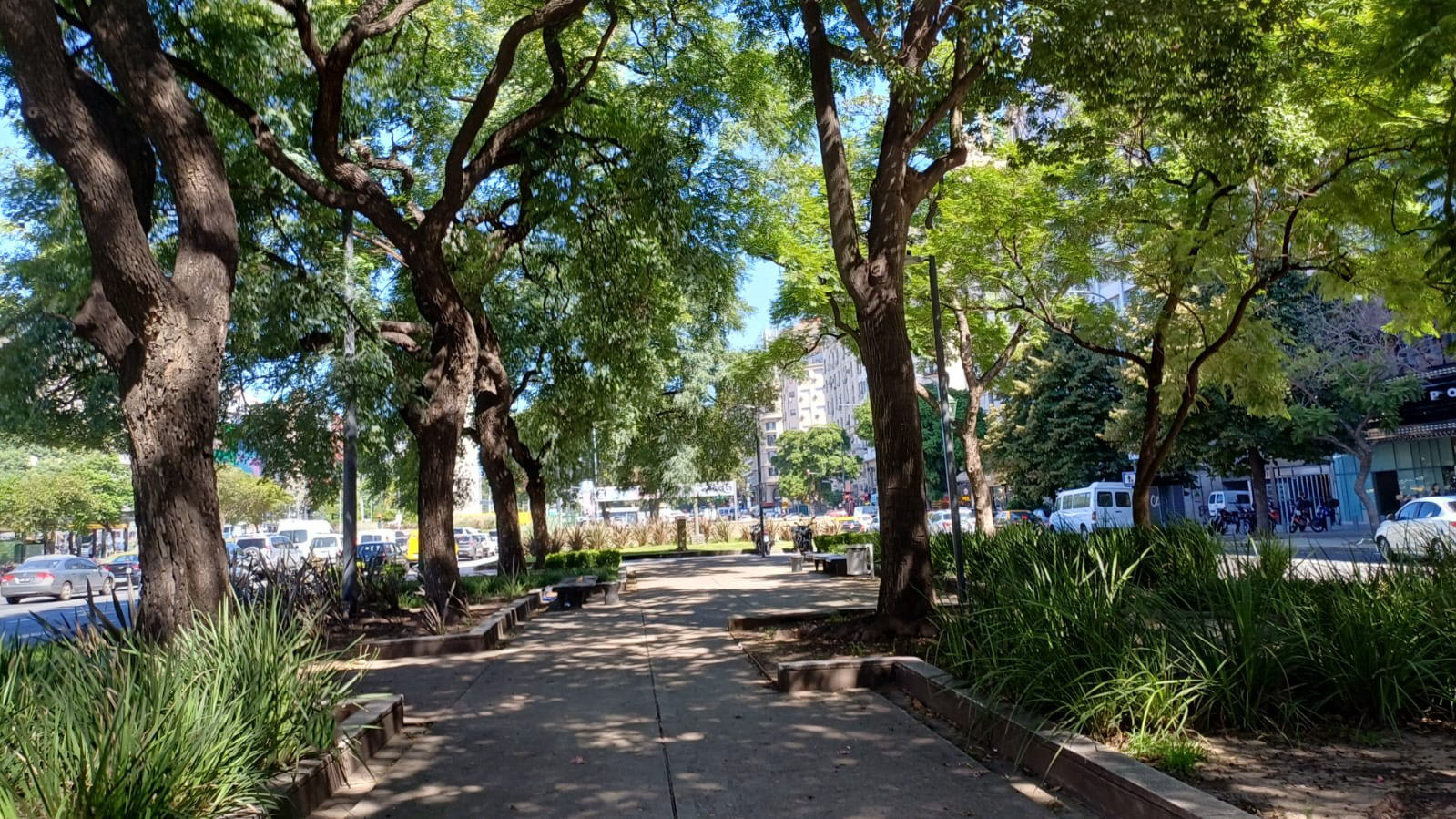 Cantero Central Provincia de San Juan