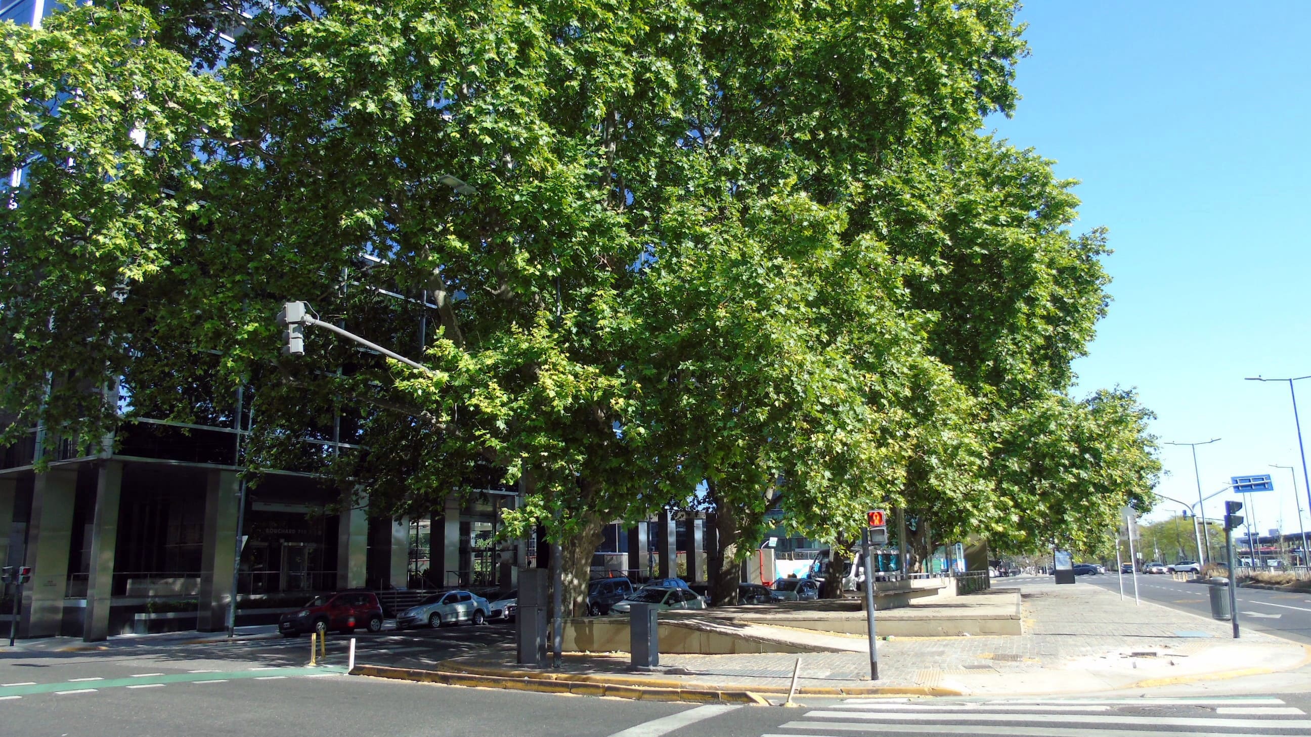 Plazoleta Leopoldo Torres Nilson