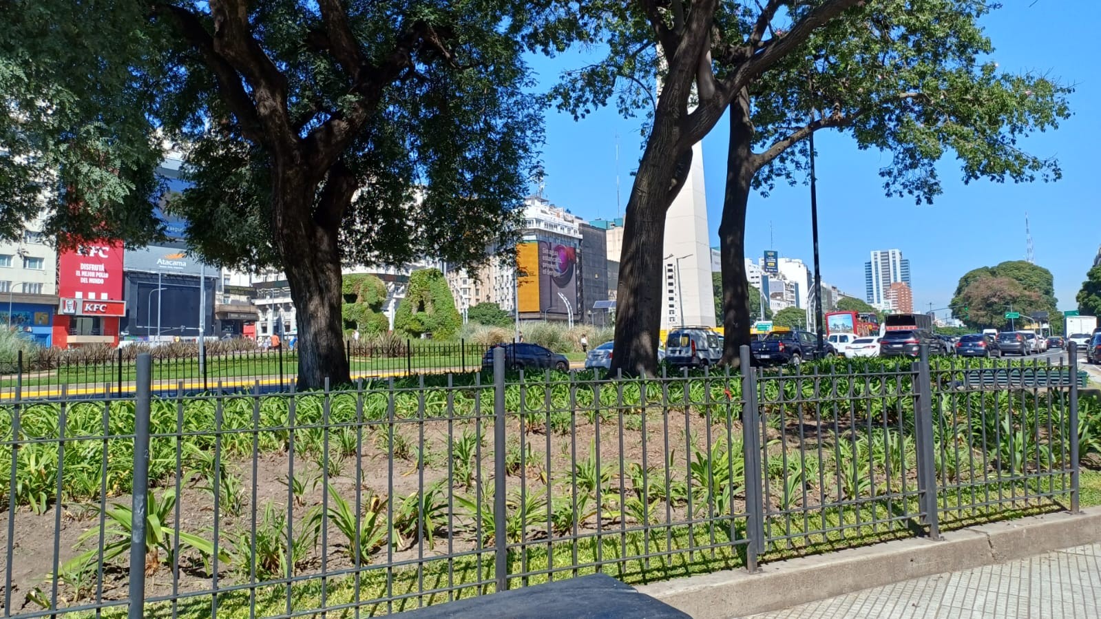 Plazoleta Paloma Efron