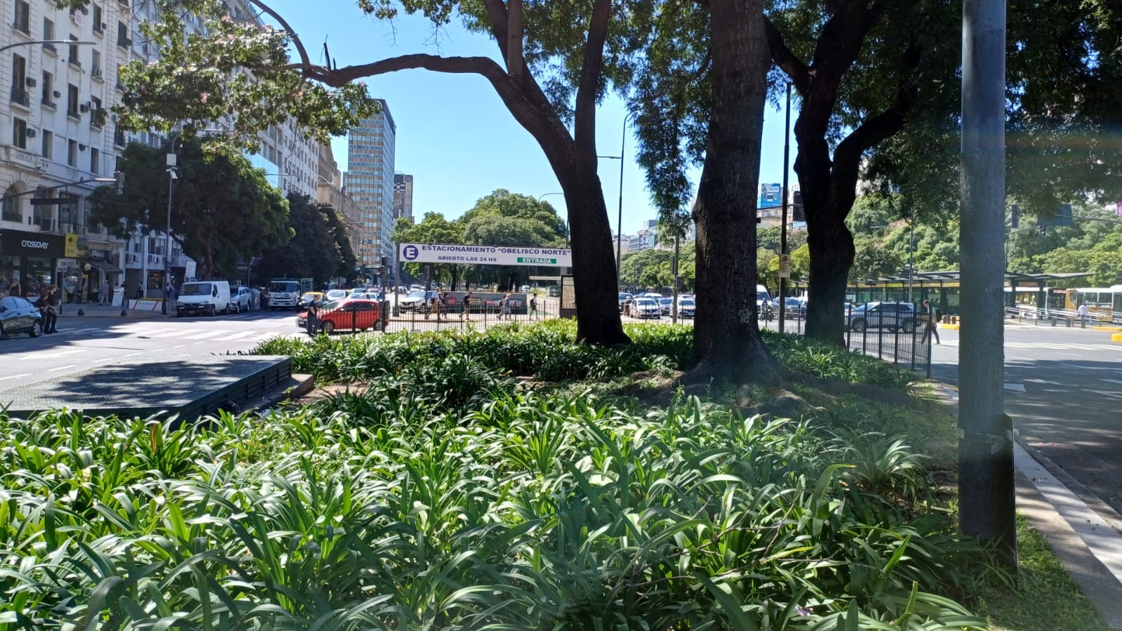 Plazoleta Paloma Efron