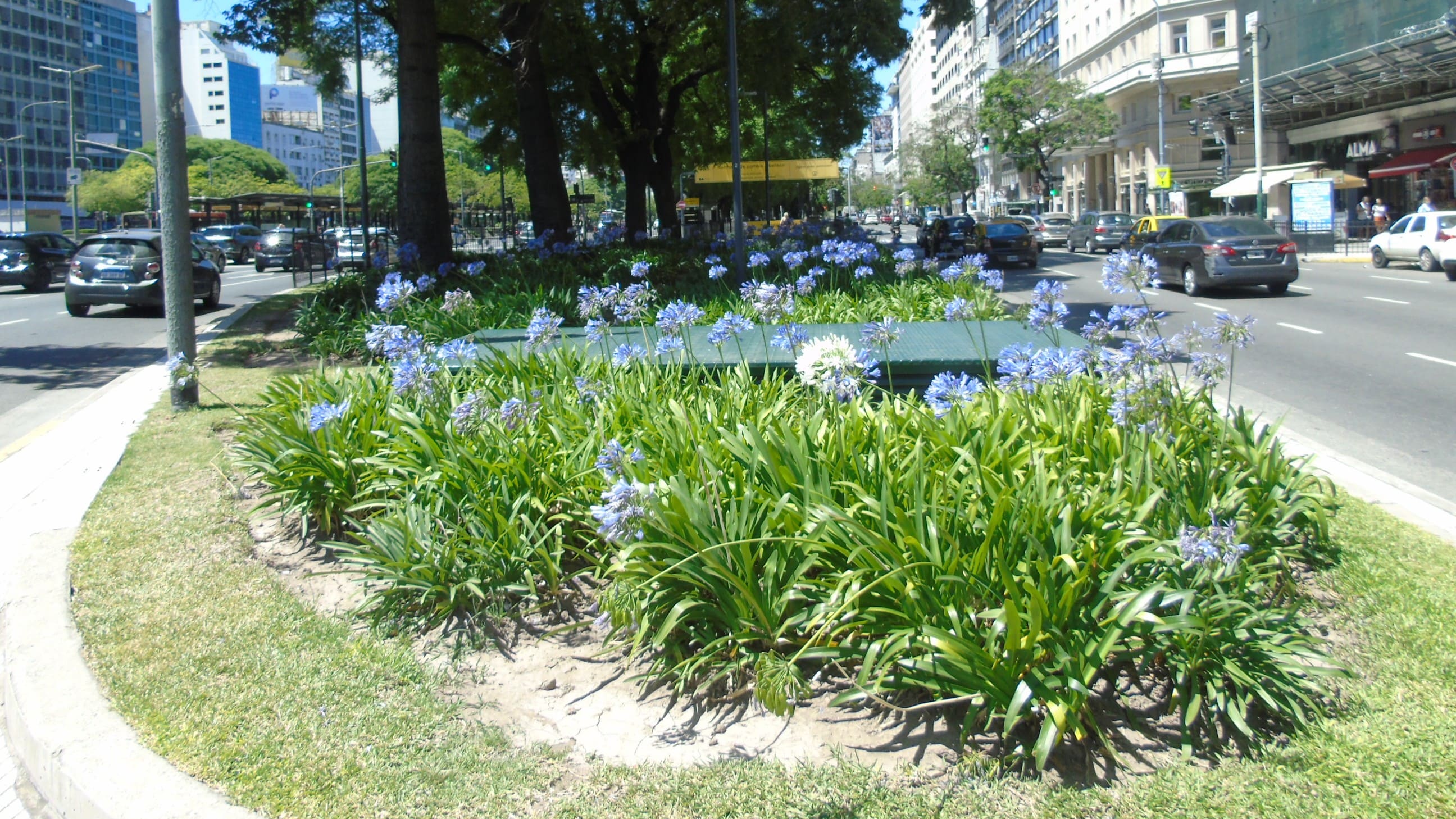 Plazoleta Verano Porteño