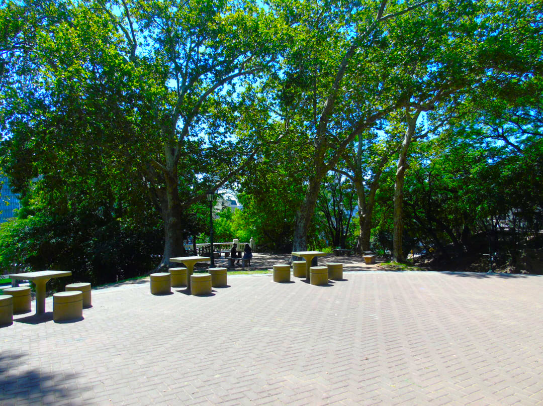 Imagen de galería 1