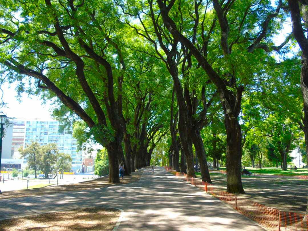 Imagen de galería 5