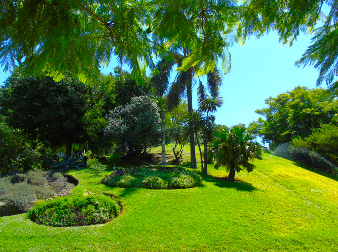 Imagen de galería 8