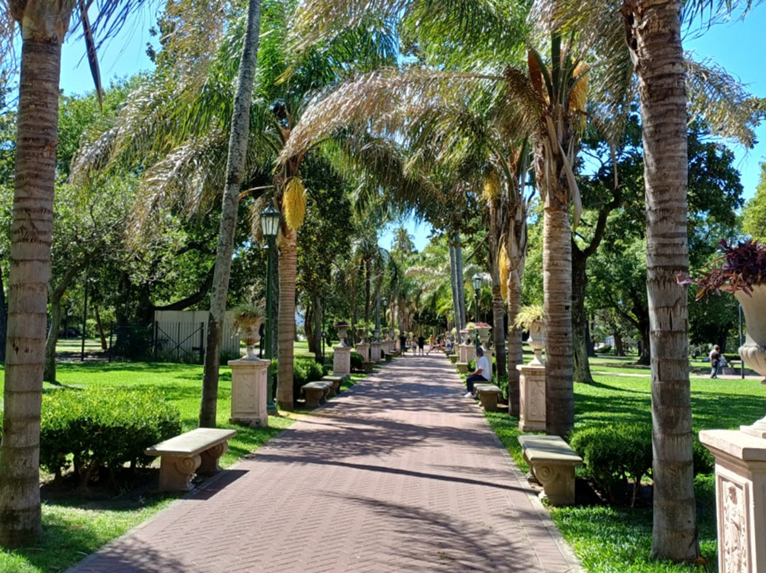 Imagen de galería 8