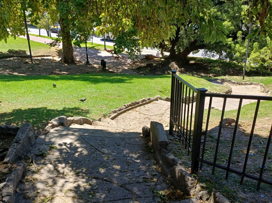 Imagen de galería 8