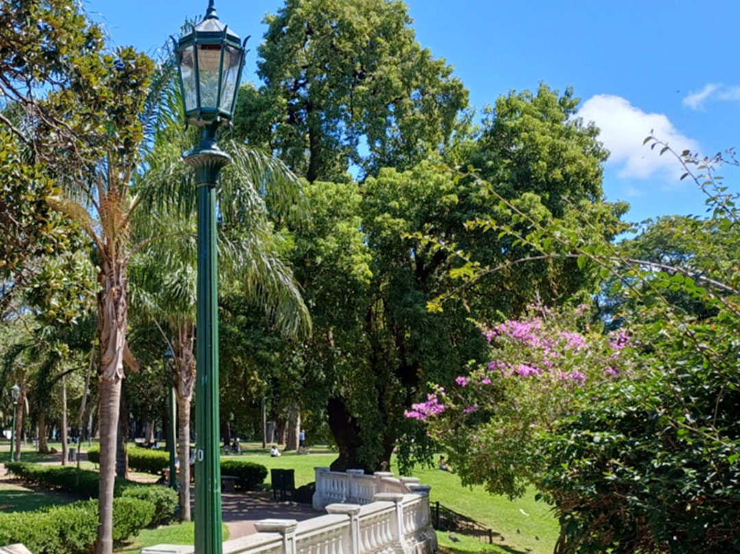 Imagen de galería 8