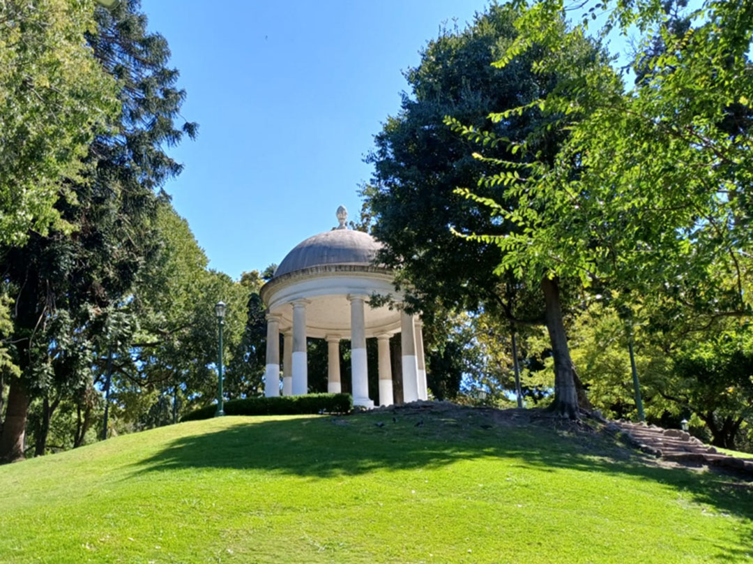 Imagen de galería 8