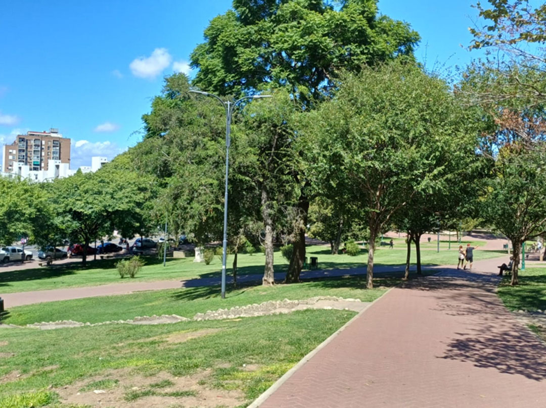 Imagen de galería 8