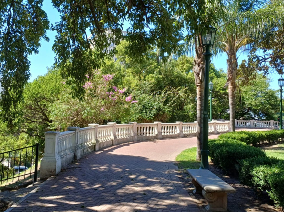 Imagen de galería 8