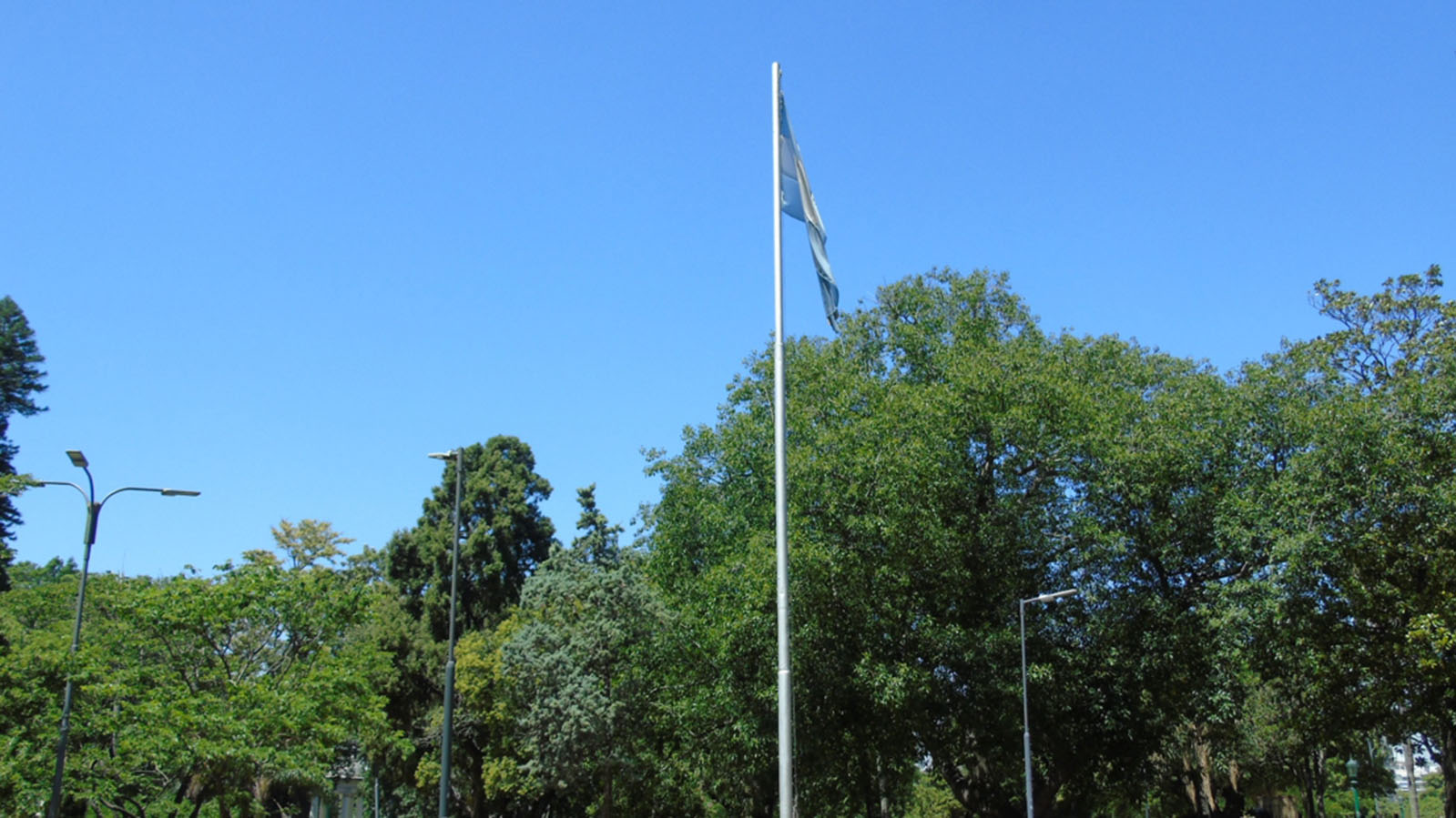 Homenaje a la Bandera