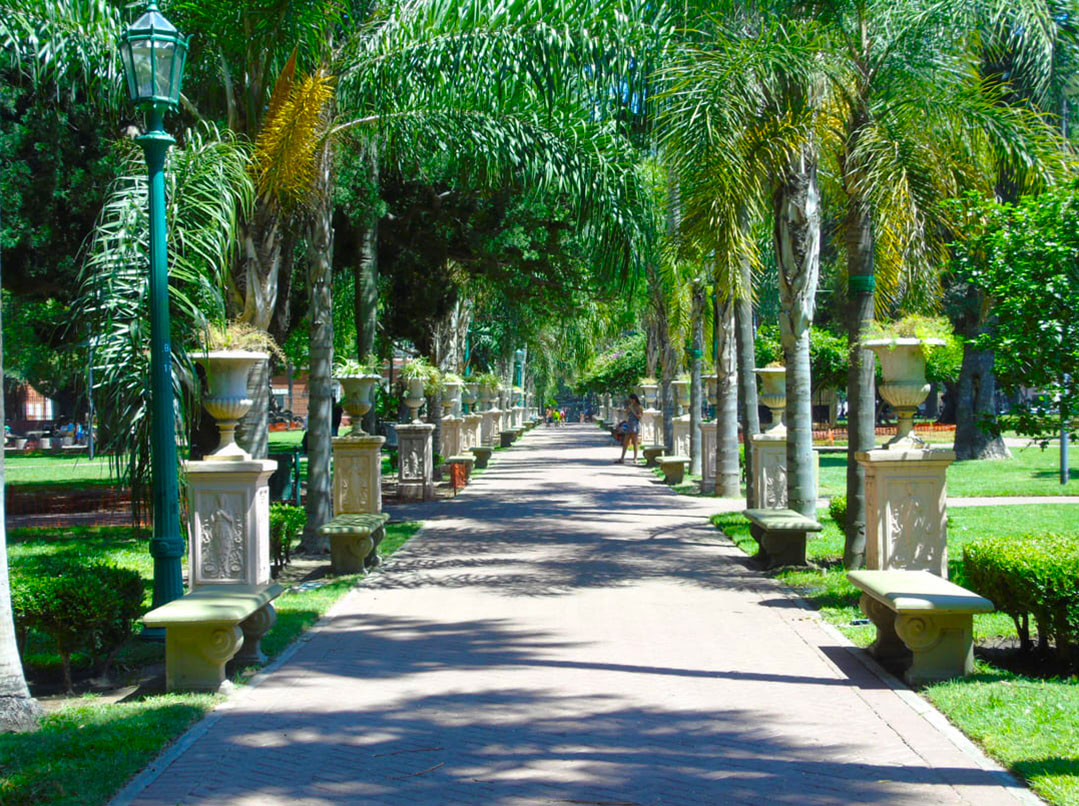 Imagen de galería 1