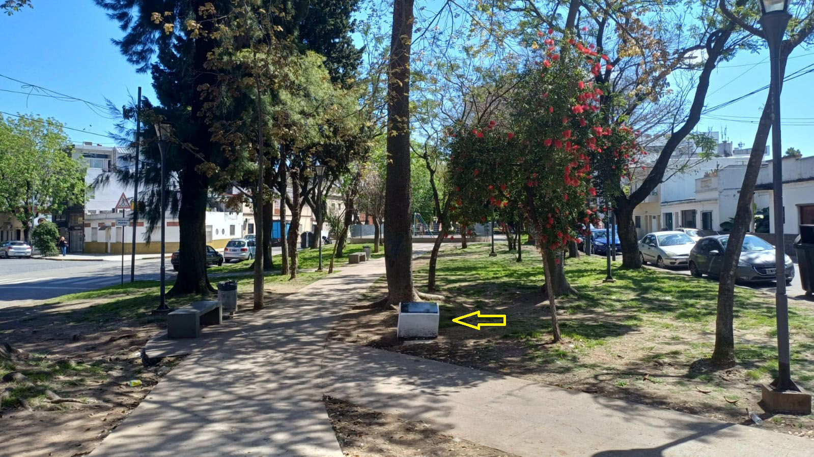 Homenaje a Don José Amalfitani 2