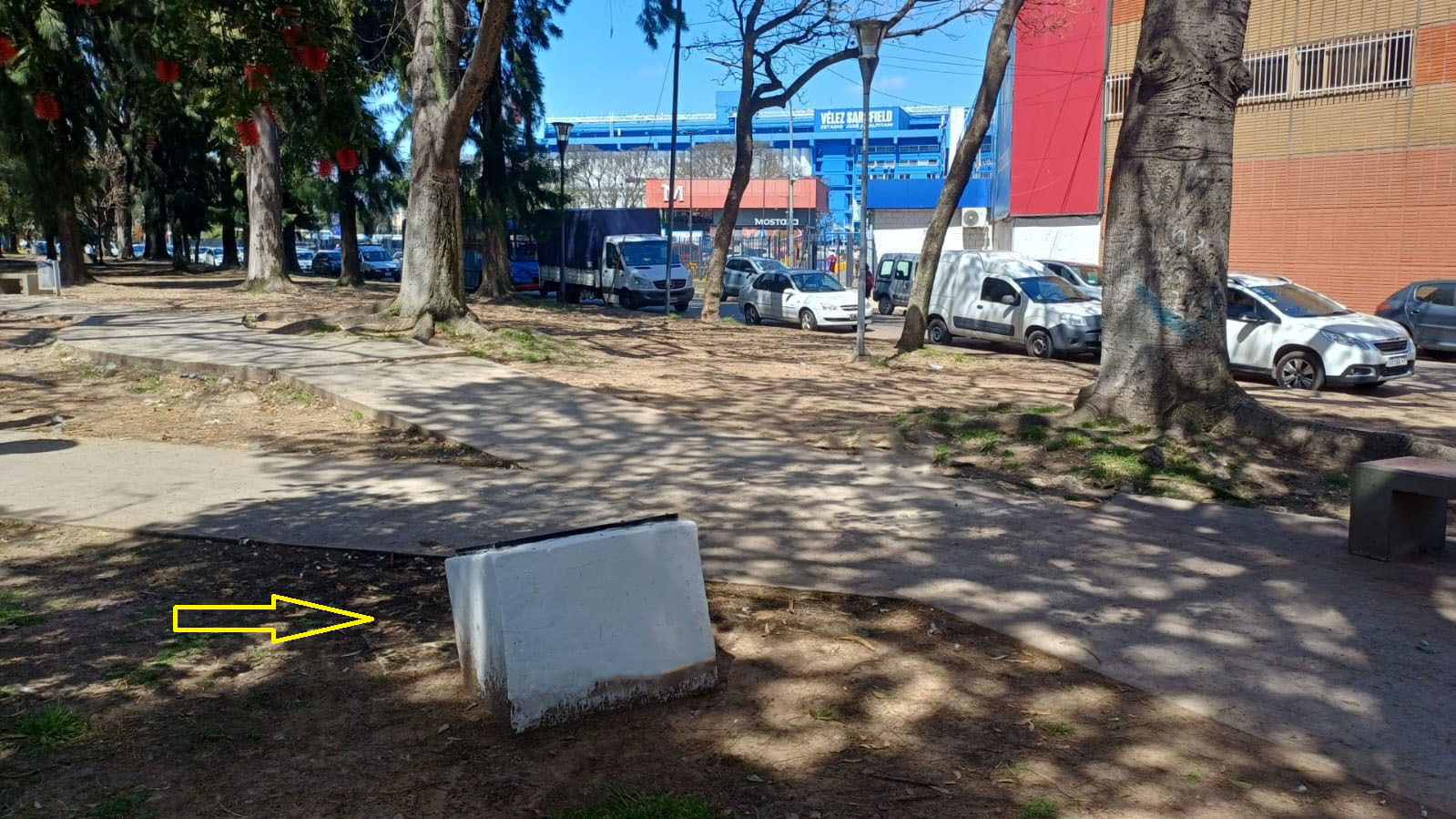 Homenaje a Don José Amalfitani 2