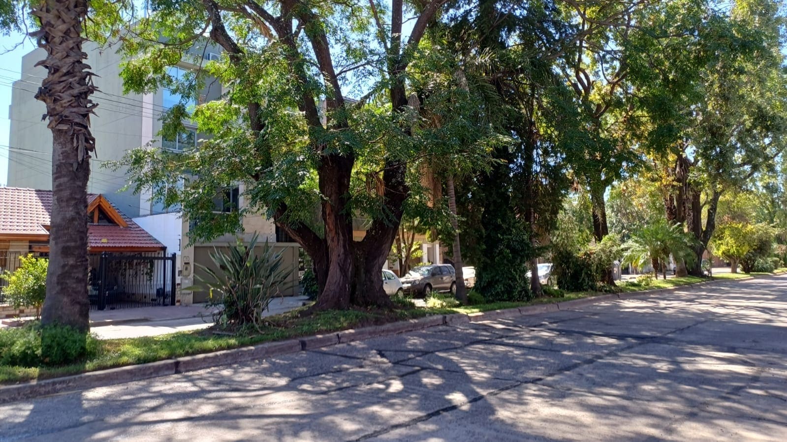 Cantero Central Diego Rivera