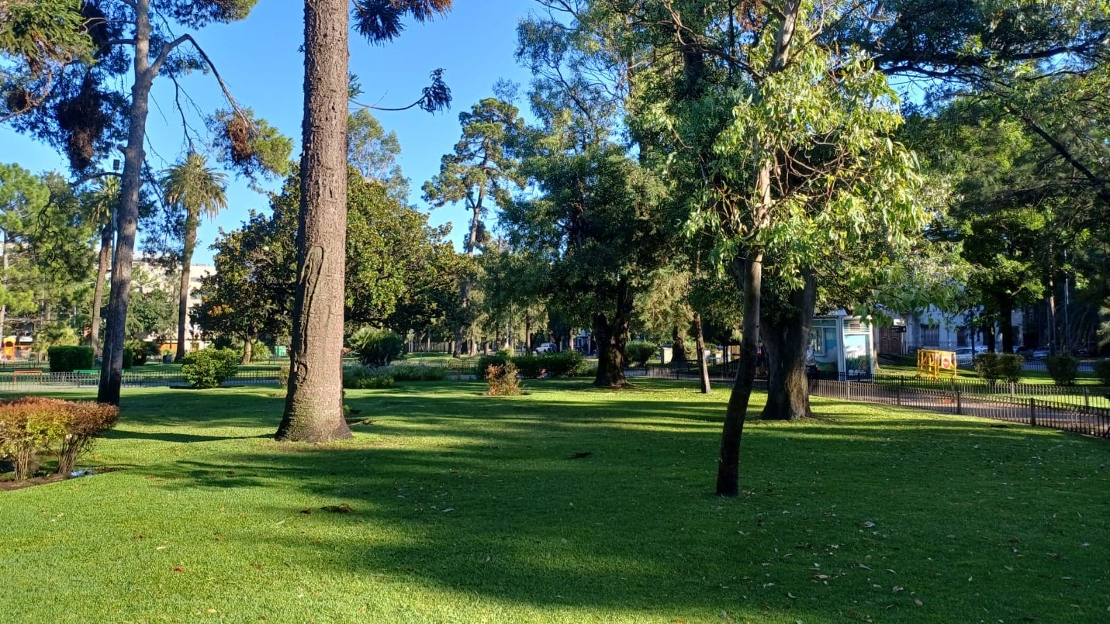 Imagen de galería 1