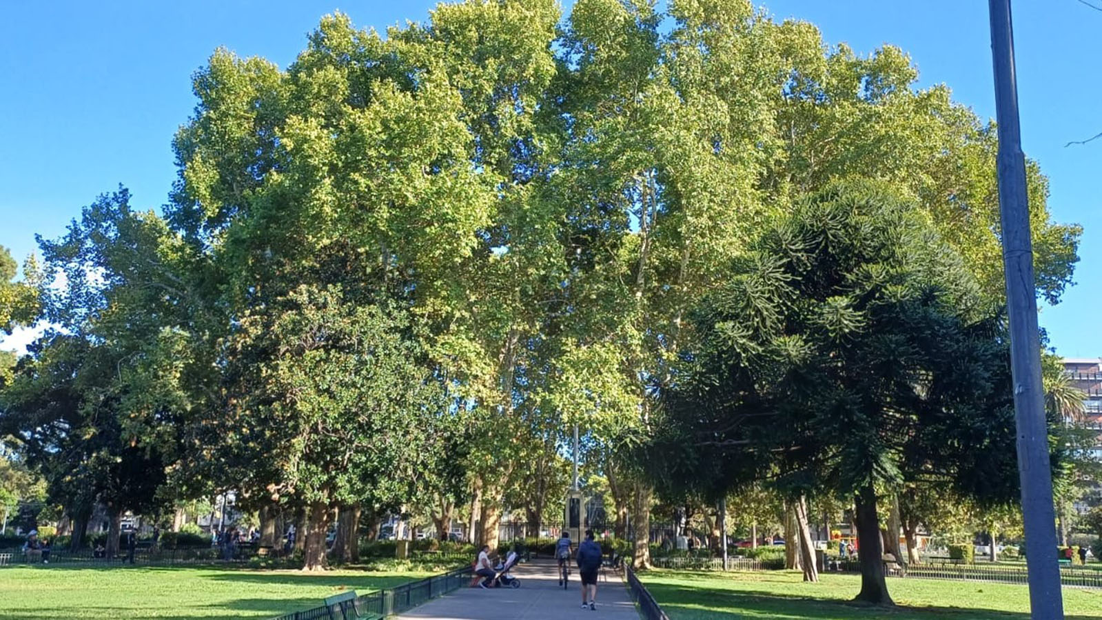 Imagen de galería 1