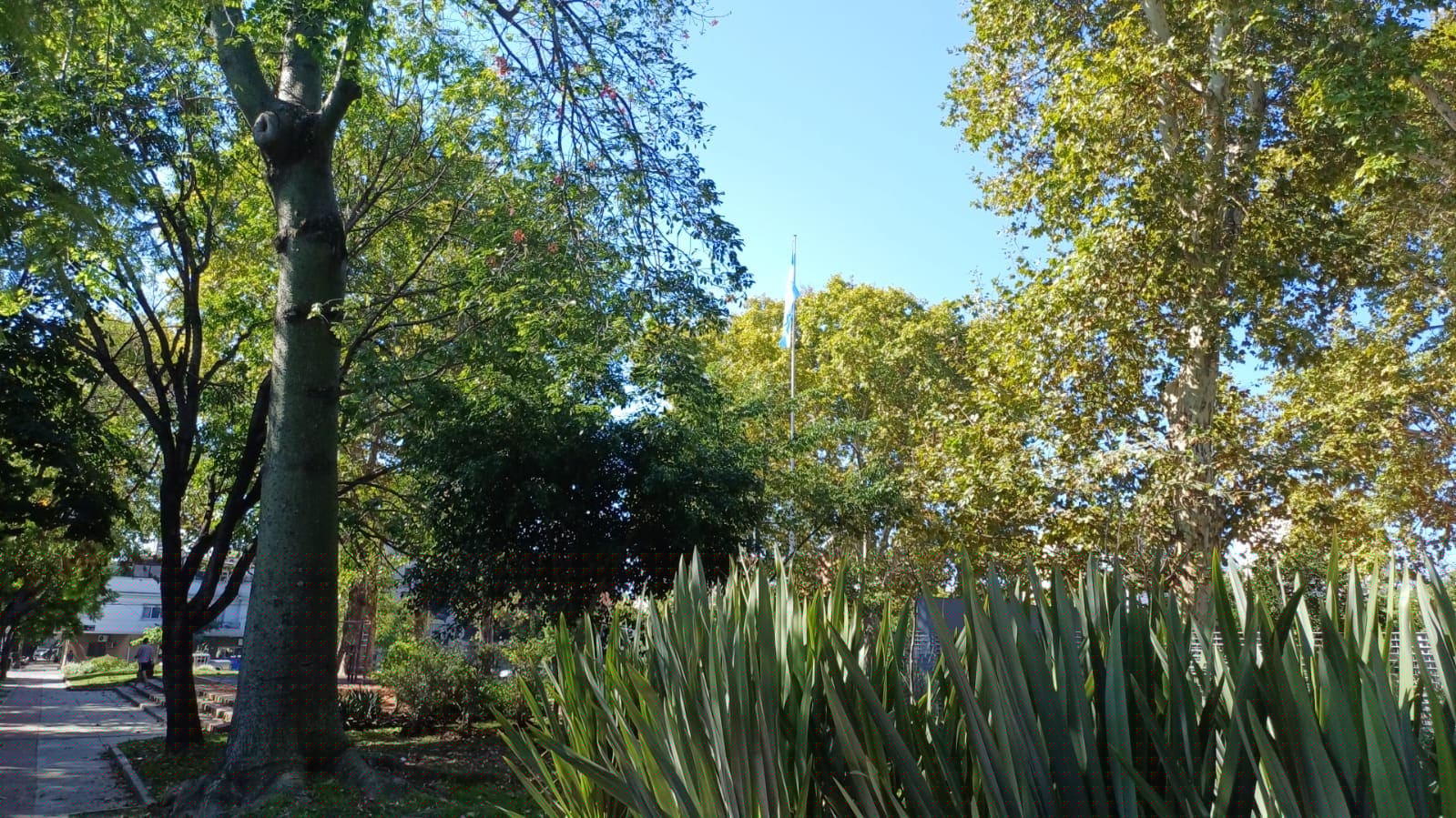 Imagen de galería 1